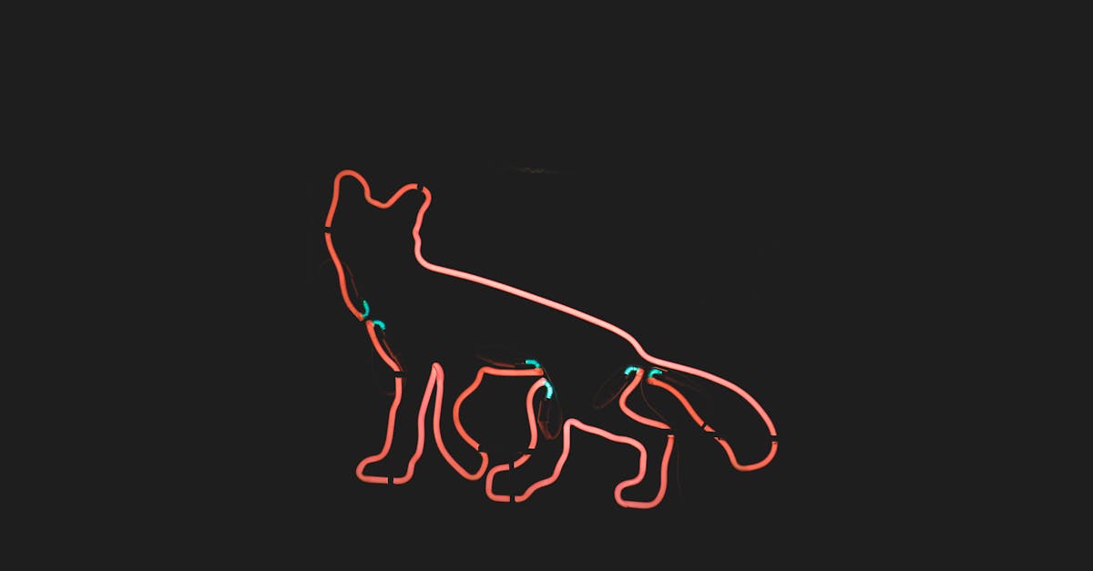 Best Practices for Installing Safety Signs in Your Adelaide Residence