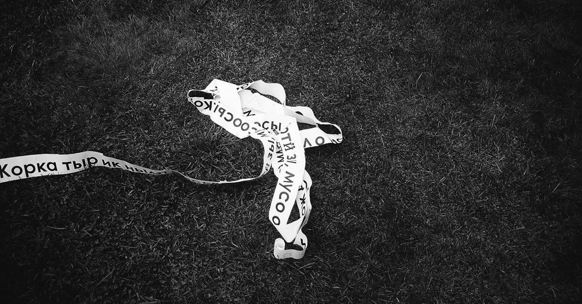 Complying with Local Regulations for Business Identification Signs in Adelaide